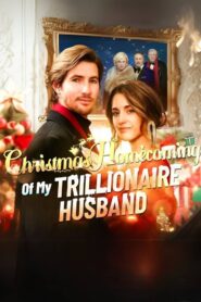 Christmas Homecoming Of My Trillionaire Husband