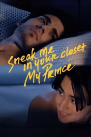 Sneak Me in Your Closet My Prince