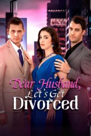 Dear Husband Let’s Get Divorced