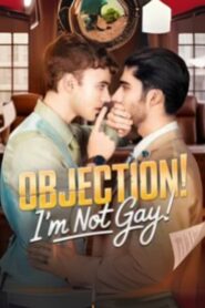 Objection I’m Not Gay